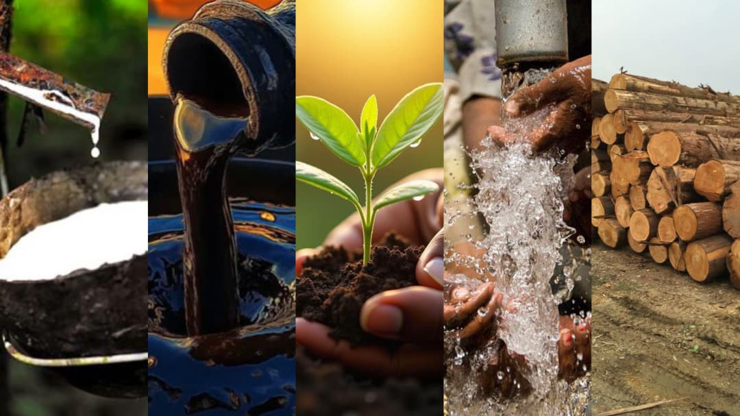 Preserving Culture & Resources