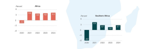 invest in africa - african stats 