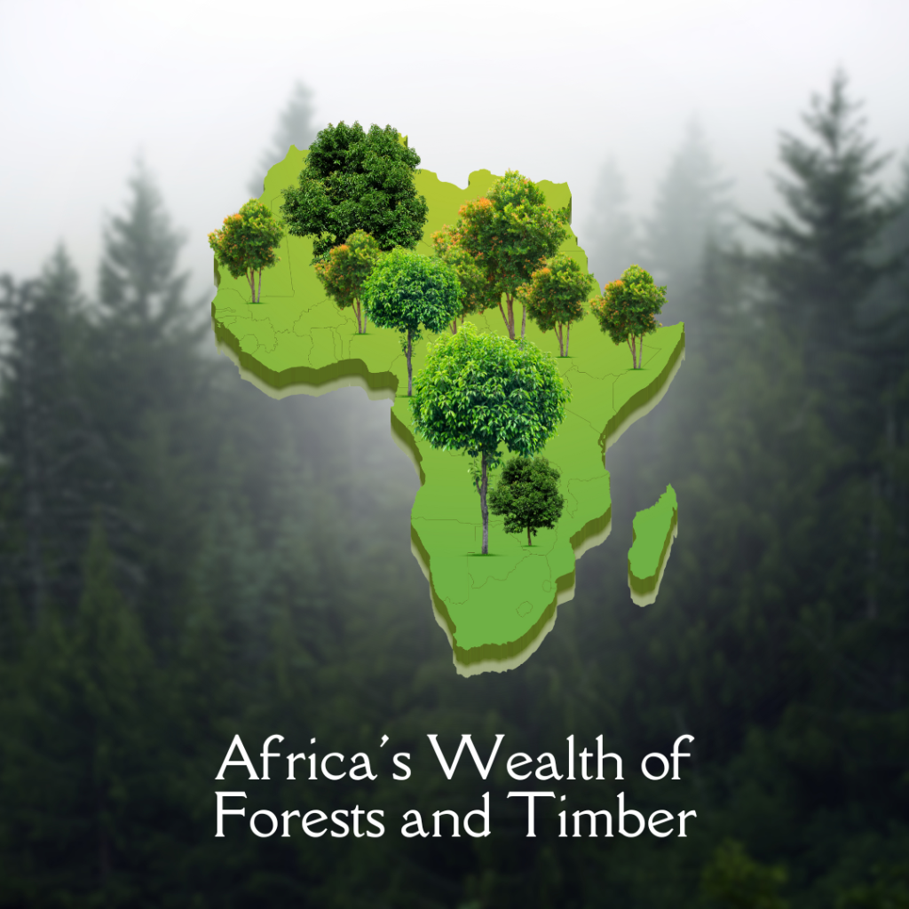 Africa's forest