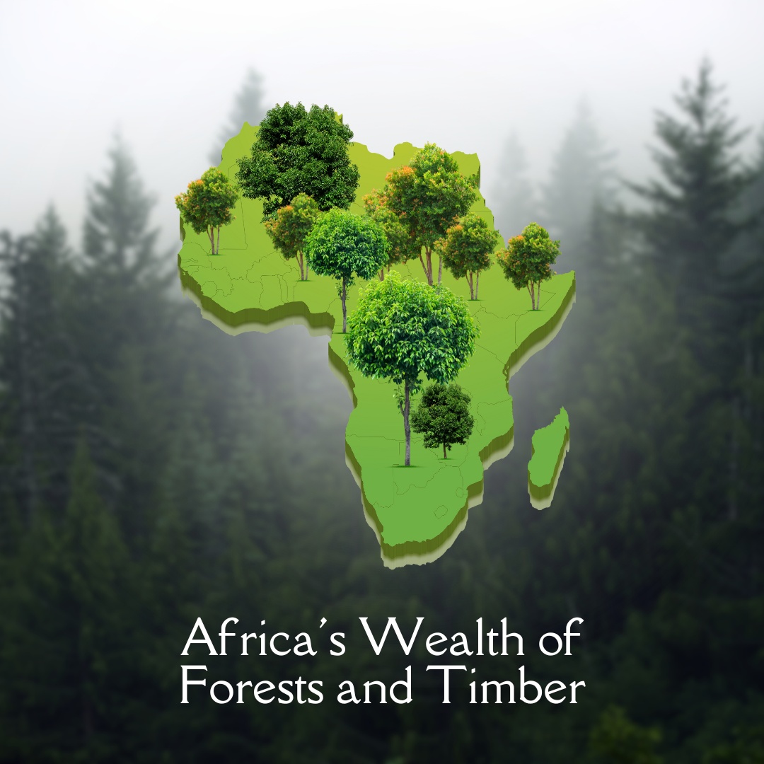 Africa's forest - Kingdom of kush 