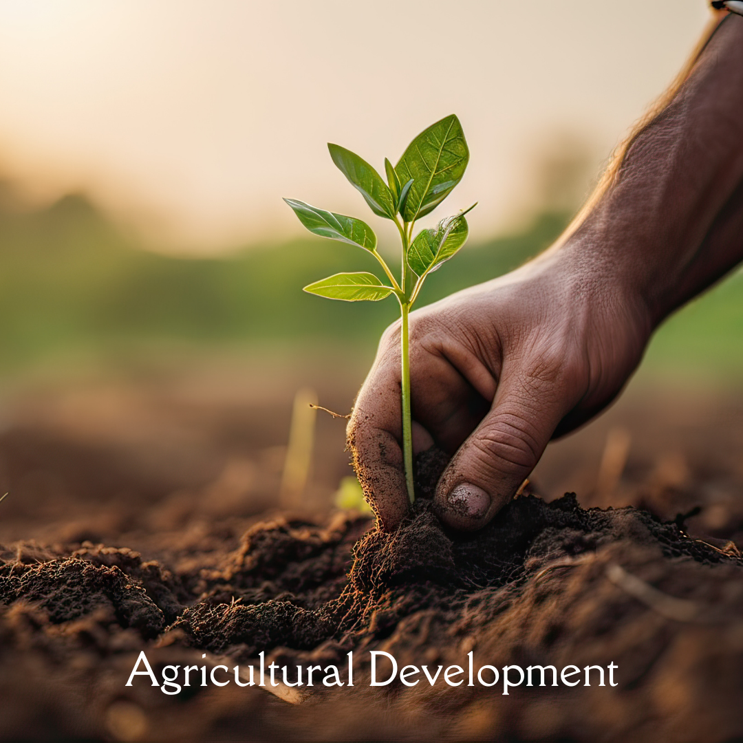 Agricultural Development in Africa